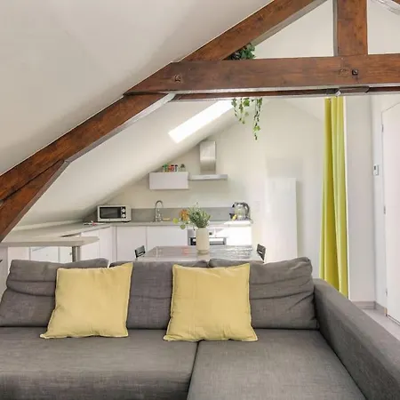 Loft Dans Maison De Ville, Apartment Villeurbanne