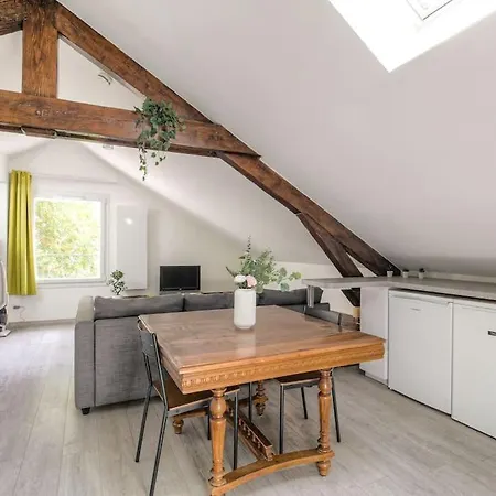 Loft Dans Maison De Ville, Apartment Villeurbanne